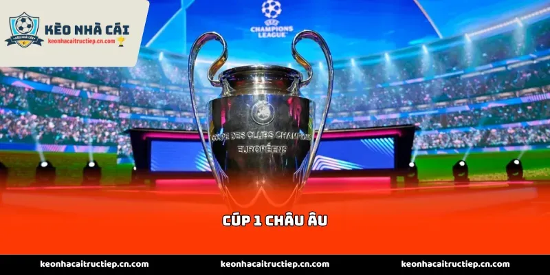Cúp 1 Châu Âu